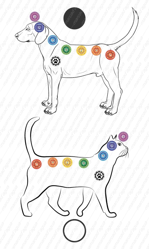 Prancha ou Mesa para avaliação dos Chakras animais - mesa com norte artificial - Radiestesia Radiônica