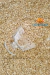 Aveia em Flocos - comprar online