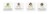 Carrossel 4