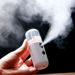Rociador Vaporizador Facial Recargable