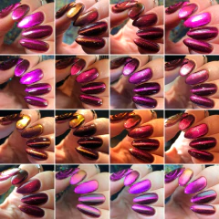 Inebriating Beauty - Midnight Sun