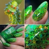 Cecropia Caterpillar - Coleção Insecta