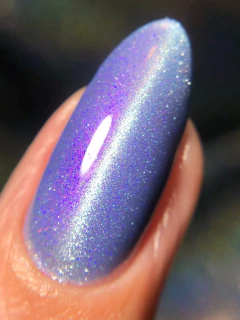 Protection - Midnight Sun