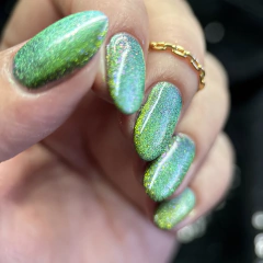 Power Absorbtion - X Collection - loja online