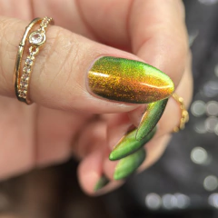 Ruby Throated Hummingbird - Hummingbirds Collection na internet