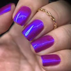 You Said It Yourself, B*tch - Coleção The Galaxy Needs Us