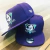 Bone Mighty Ducks Aba Reta. Roxo
