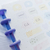 Caderno de Discos Personalizado Disney 100 B