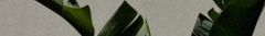 Banner de la categoría A PRIMERA VISTA