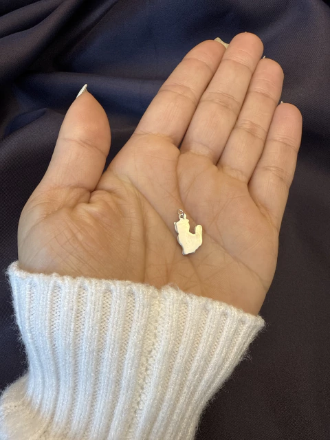 Pingente gato para gravação - comprar online