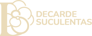 Suculentas Decarde