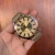 Reloj masculino Nicolás