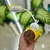 Lampara velador avion / amarillo - comprar online
