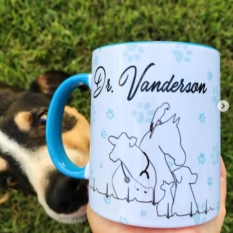 Arte Veterinário " O justo cuida bem até de seus animais,..."