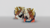 Imagem do Kit Digital Dragon Ball Z