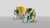 Kit Digital Dragon Ball Z - Canecaria Home Cat | Artes Digitais para Canecas