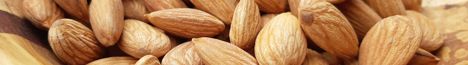 Banner de la categoría Productos