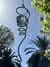 Espiral Transparente