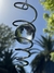Espiral Transparente - comprar online