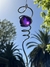 Espiral Violeta
