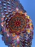 Mini mandala Plumeria rubra en internet