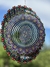 Mandala Kalanchoe en internet