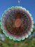 Mandala Crisantemo - tienda online