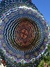 Imagen de Mandala Kalanchoe