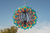 Mandala Gerbera - tienda online