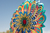 Mandala Gerbera en internet