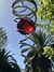 Mini espiral Rojo - comprar online