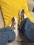 tênis vans knu skool brown and white na internet