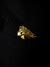 broche amazona na internet