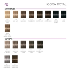 KIT Igora Royal - Schwarzkopf - comprar online