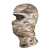BALACLAVA FOX BOY - comprar online