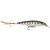 ISCA RAPALA - XRAP XTREME SLASHBAIT XR-8 - 7G 8CM