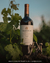 Vino Salentein Reserva Malbec 750ml - Primor Market