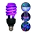 Lâmpada Fluorescente Luz Negra - Efeito Neon