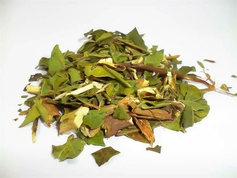 Aroeira folha chá - PREMIUM - 50 GR.