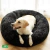 Cama DogLove™️ Super rellena en internet