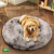 Imagen de Cama DogLove™️ Super rellena