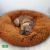 Cama DogLove™️ Super rellena