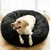 Imagen de Cama DogLove™️ Super rellena Oferta 2x1