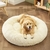 Cama DogLove™️ Super rellena Oferta 2x1