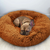 Cama DogLove™️ Super rellena Oferta 2x1 - tienda online