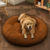 Imagen de Cama DogLove™️ Super rellena Oferta 2x1