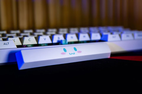 Cinnamon - comprar online