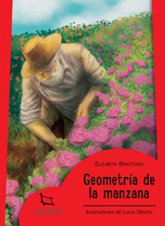 Geometría de la manzana