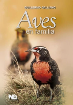 Aves en familia