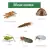 Siltac Eliminador de Pragas All Garden 2 mL na internet